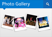 Photo Gallery 2013