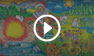 Video Gallery