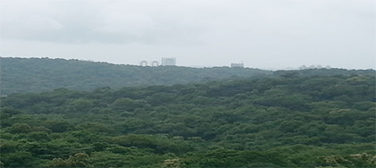 Sanjay Gandhi National Park - 2014